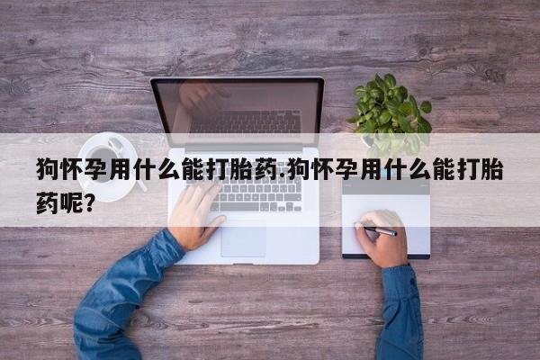 打胎药联系微信狗怀孕用什么能打胎药.狗怀孕用什么能打胎药呢？