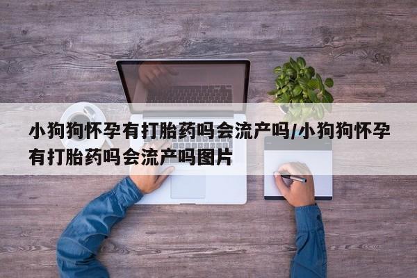 打胎药联系微信小狗狗怀孕有打胎药吗会流产吗/小狗狗怀孕有打胎药吗会流产吗图片